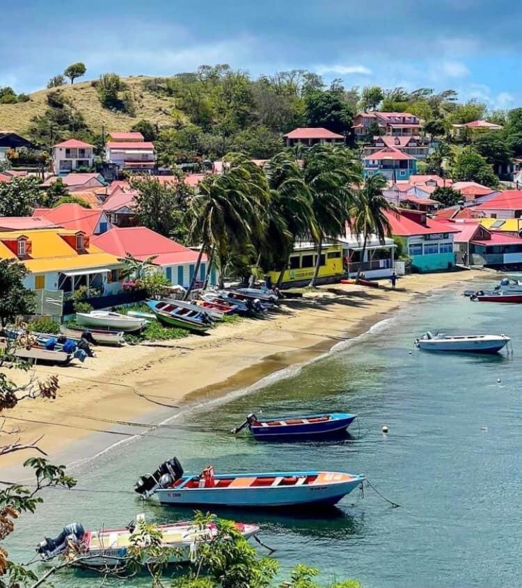 Le Paradis Creole Terre-De-Haut Dış mekan fotoğraf